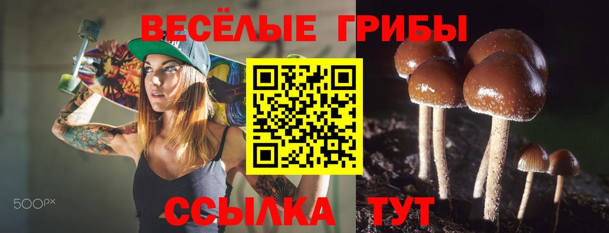 Галлюциногенные грибы ЛСД  Галлюциногенные грибы мухоморы  Вход с VPN  Минеральные Воды 